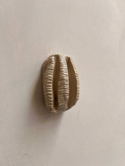 OBJETS DE NOYER - CORAL 02