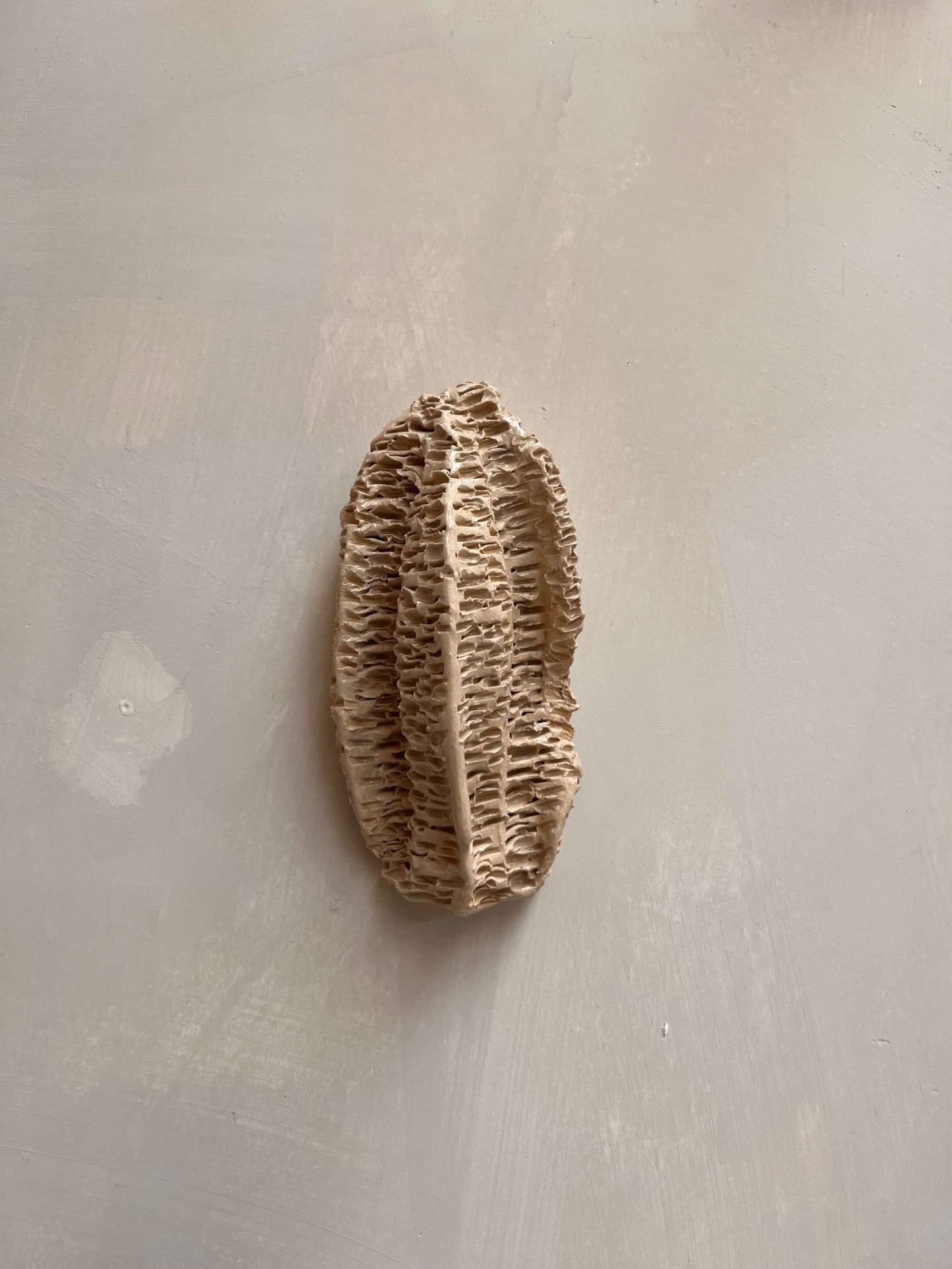 OBJETS DE NOYER - CORAL 01